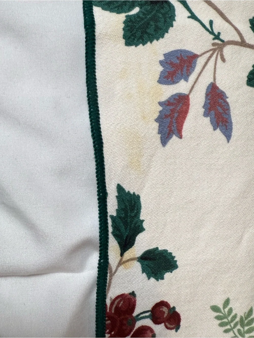Floral Cotton Napkins in Cream with Green and Burgundy Print